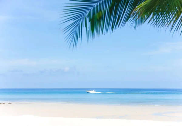 Sommar Semester Bakgrund Palmblad Fluffiga Moln Blå Havet Vit Sand — Stockfoto