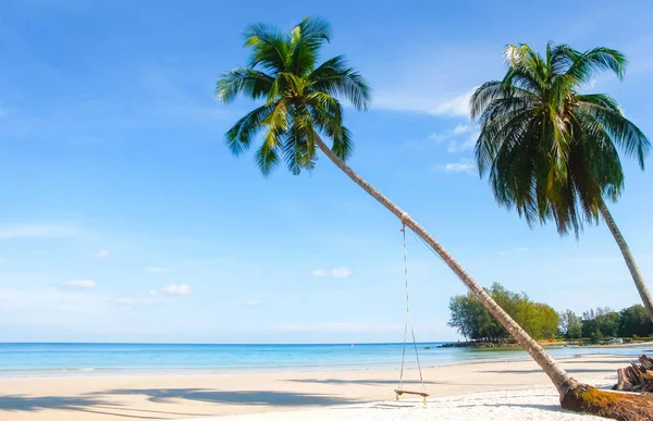 Marinmålning Vacker Tropisk Strand Med Palm Tree Vid Soluppgången Sea — Stockfoto