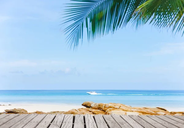 Tom Träpiren Med Utsikt Över Sandstranden Ledigt Utrymme För Text — Stockfoto