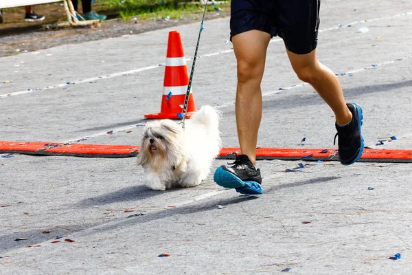 Dog Dueño Participan Una Popular Carrera Maratón — Foto de Stock