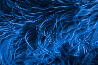 Kürk gibi mavi deniz