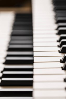 Bir organ kayboard parçaları