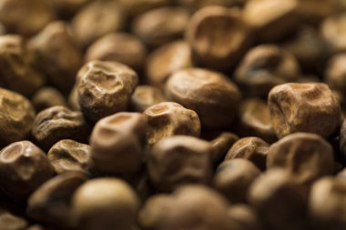 Kuru bezelye ile sığ derinlik-in tarla