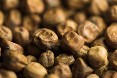 Kuru bezelye ile sığ derinlik-in tarla