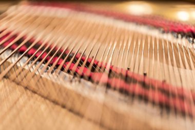 Piyano dizeleri bir closeup.