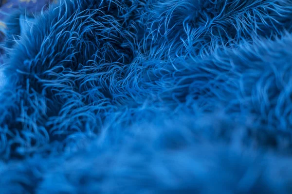 Blue marine like fur