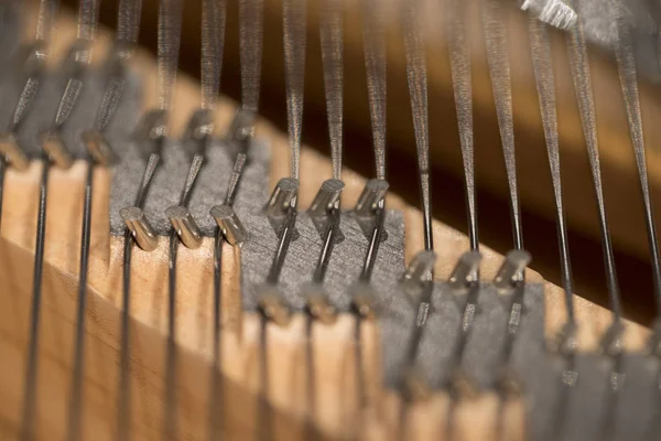 A part of the grand piano strings