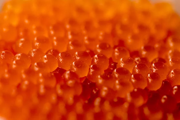 Bel Caviale Arancione — Foto Stock