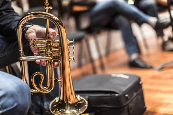 Uma Pessoa Segurando Flugelhorn — Fotografia de Stock