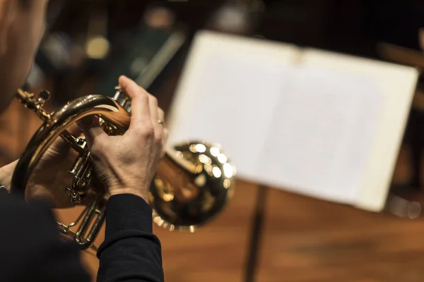 Person Playing Flugelhorn — Stock Photo, Image