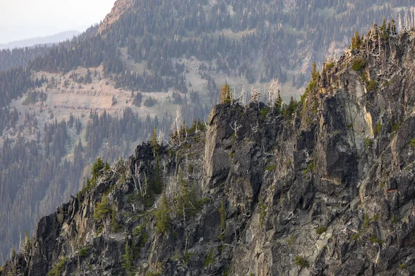 Rocky Mountain Med Döda Träd Golden Hour — Stockfoto