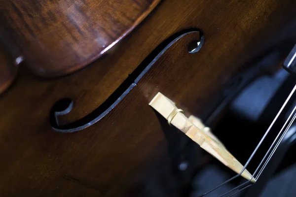 Part Double Bass — Stock Photo, Image