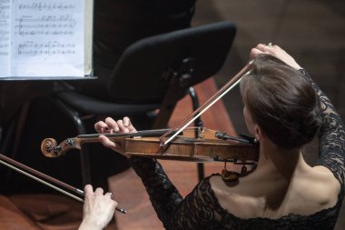 Klasik orkestra konserinde kadın bir kemancı.