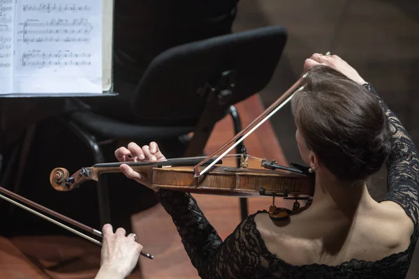Klasik orkestra konserinde kadın bir kemancı.