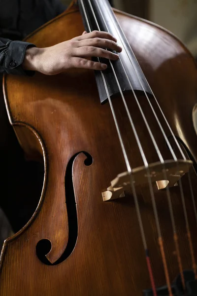 Uma Pessoa Tocando Contrabaixo — Fotografia de Stock