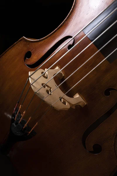 Part Double Bass Dark Background — Stock Photo, Image