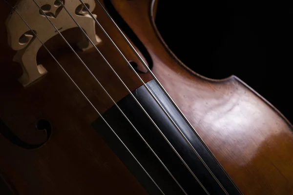 Part Double Bass Dark Background — Stock Photo, Image