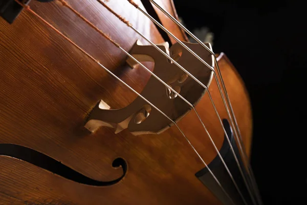 A part of a double bass on a dark background