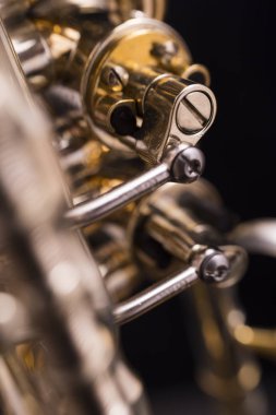 Çiğ pirinç döner trompet siyah bir zemin üzerine bir parçası