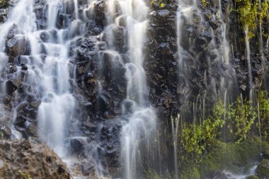 Güneşli Kaliforniya'da Burney Falls