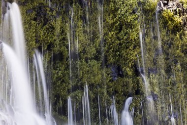 Güneşli Kaliforniya'da Burney Falls
