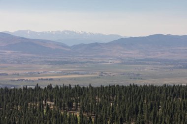 Bir orman alanları ve dağ içinde belgili tanımlık geçmiş