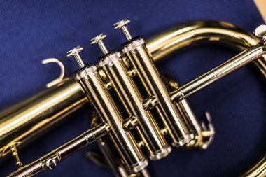 Mavi bir arka plan üzerinde bir Lake flügelhorn