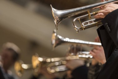 Gümüş kaplama trompet bir konser sırasında oynayanlar