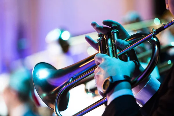 Person Playing Flugelhorn Concert — Stock Photo, Image