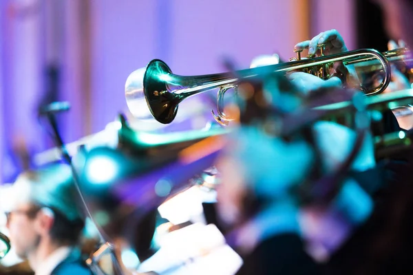 Bir trompet dilsiz ile bir konser sırasında oynayan bir kişi