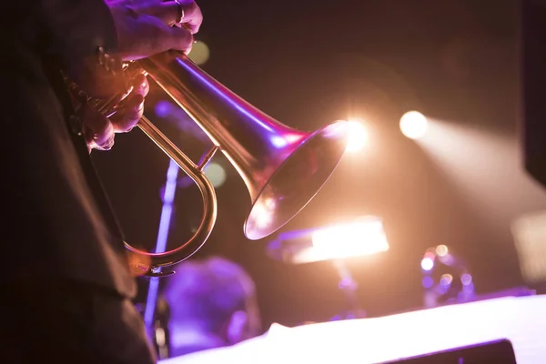 Canlı bir konser sırasında bir flügelhorn tutan bir kişi