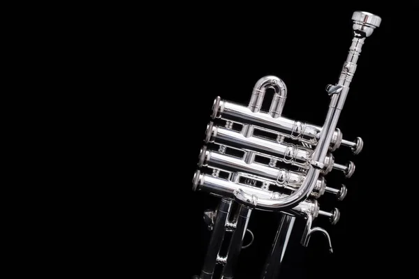Trompeta Flautín Plateado Sobre Fondo Negro —  Fotos de Stock