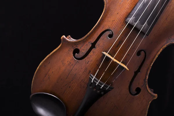 Viola Violino Sobre Fundo Preto — Fotografia de Stock