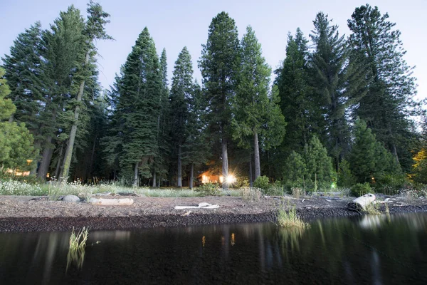 Glimt Lodge Genom Träden Sjön Almanor — Stockfoto