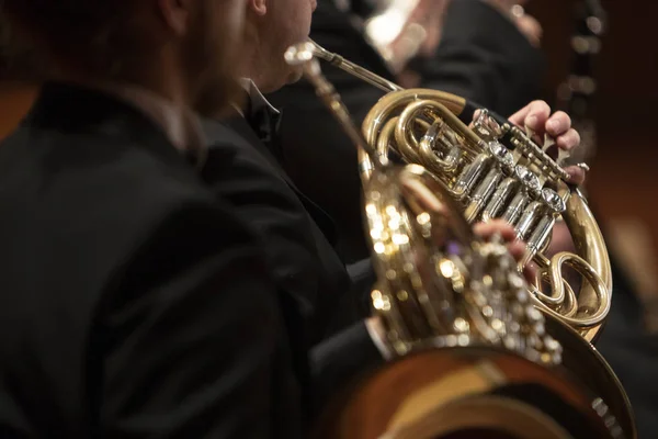 A person playing a French horn during a concert