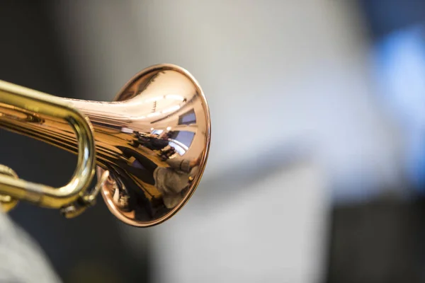 Person Holding Trumpet — Stock Photo, Image