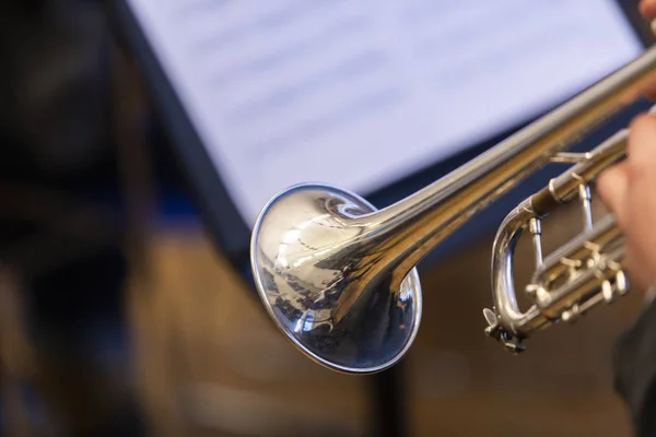 Person Holding Trumpet — Stock Photo, Image