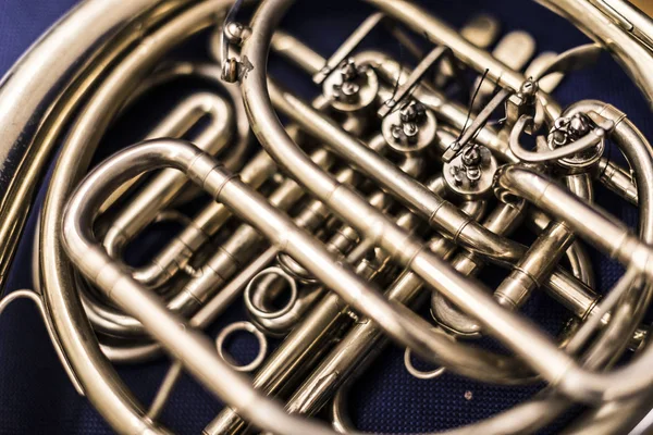 A French horn on a blue background