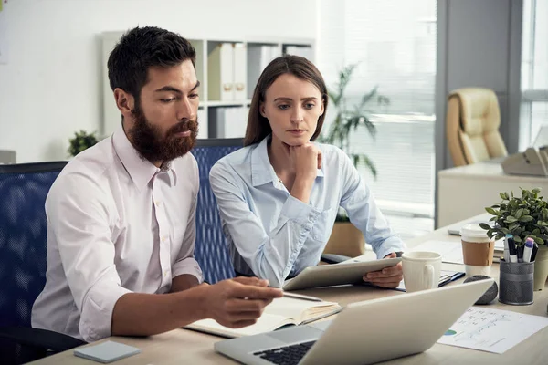 Serious professional woman and man sitting at table in contemporary office watching laptop