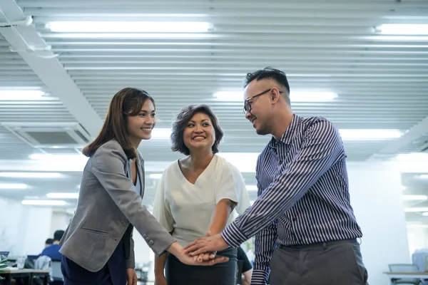 Equipo Negocios Vietnamita Feliz Apilando Las Manos Para Celebrar Logro —  Fotos de Stock