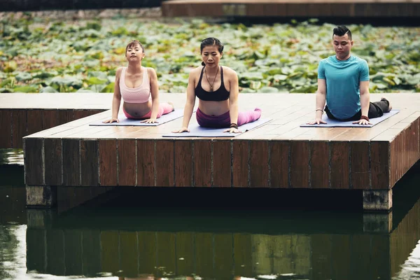 Grupo Jovens Asiáticos Fazendo Exercícios Cobra Parque Manhã Ioga — Fotografia de Stock