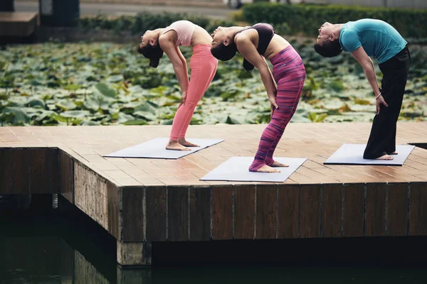 Bir Grup Insan Pratik Yoga Yerel Park Birikintisi — Stok fotoğraf