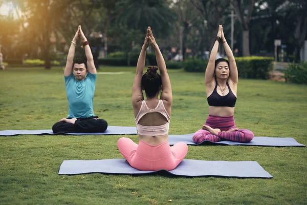 Kadın Yoga Eğitmeni Ile Insanların Park Grup Eğitim — Stok fotoğraf