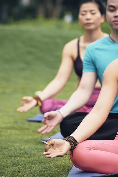 Yoga Park Mediterar Människor — Stockfoto