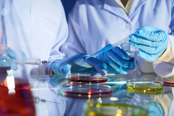Unrecognizable Researchers Pouring Liquid Biologists Experiment — Stock Photo, Image