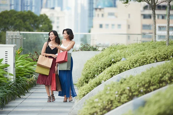Vackra Unga Asiatiska Kvinnor Promenader Parken Efter Shopping — Stockfoto