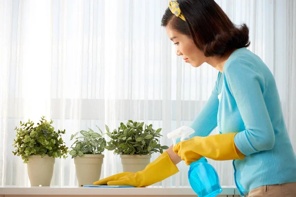 Housewife Cleaning Table Surface House Window Sill Green Plants Pots — Stock Photo, Image