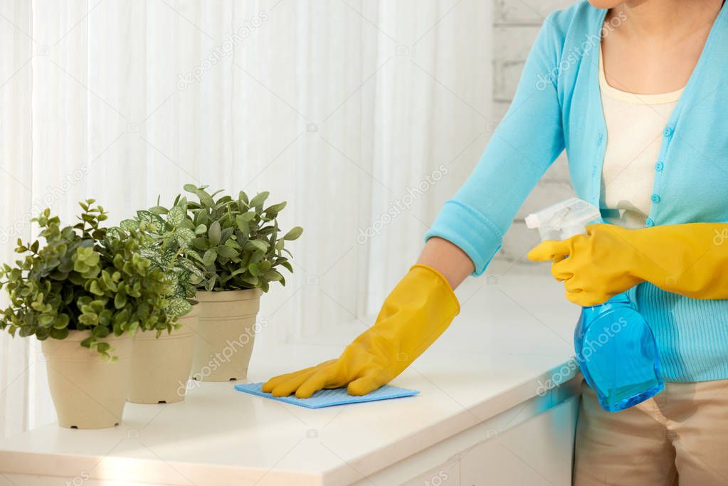 Cropped image of woman wiping off dust from the window sill