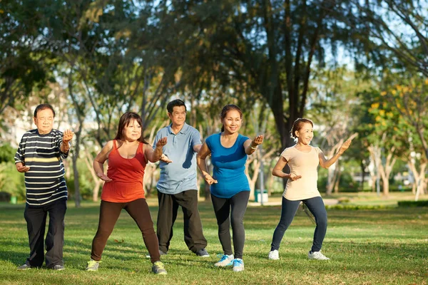 Cheerful Aged Asian People Practicing Tai Chi Park — Stock Photo, Image