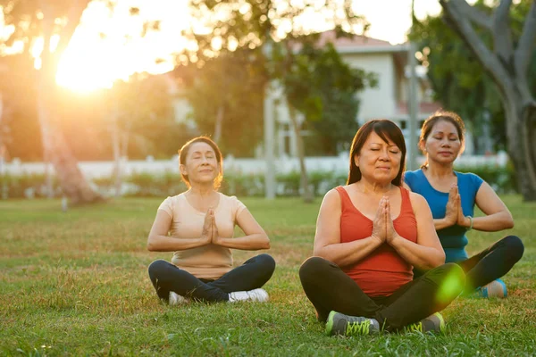 Group Vietnamese Aged Women Meditating Sunny Park — Stock Photo, Image